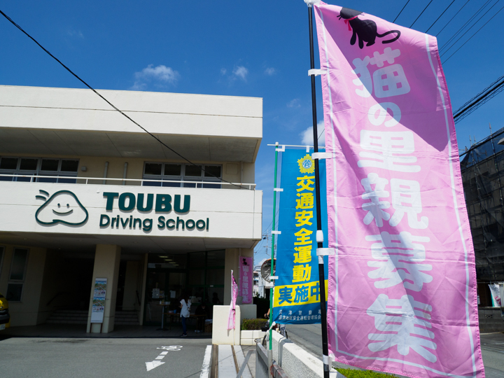 東部自動車学校 保護猫 譲渡会